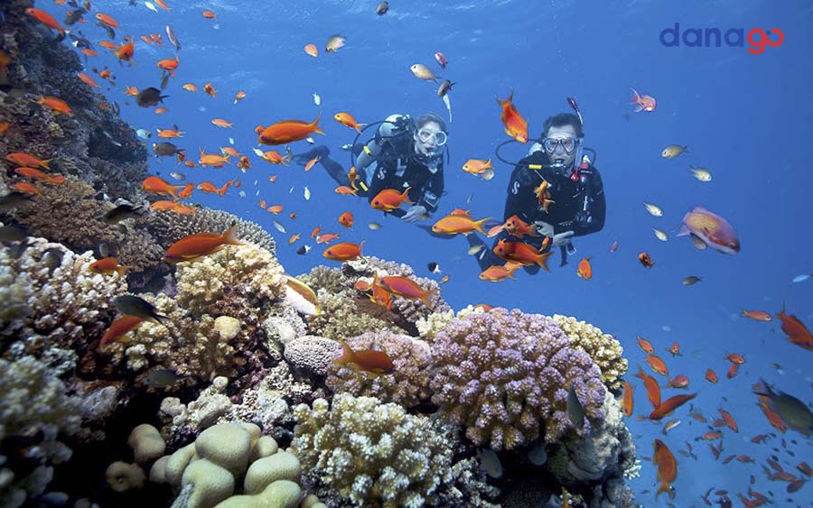 tour hà nam đà nẵng 2 ngày tour hà nam đà nẵng 2 ngày