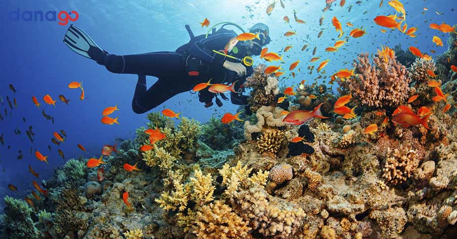 tour đà nẵng từ hà nội tour đà nẵng từ hà nội