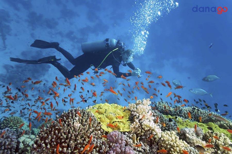 tour đà nẵng từ hải phòng 3n2đ tour đà nẵng từ hải phòng 3n2đ