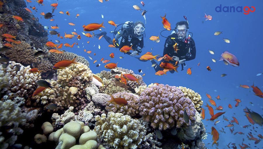 Tour Đà Nẵng Từ Thanh Hóa 3 Ngày 2 Đêm Giá Siêu Rẻ