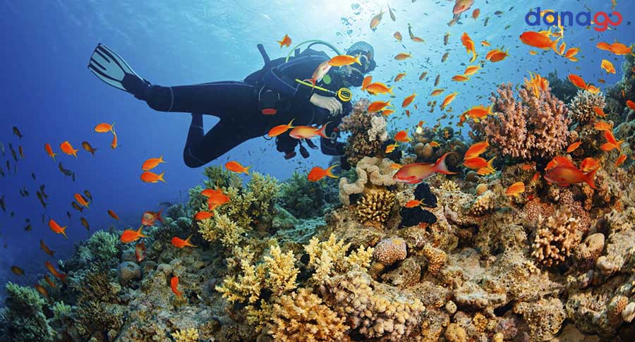 tour đà nẵng từ tp hcm 3n2đ tour đà nẵng từ tp hcm 3n2đ