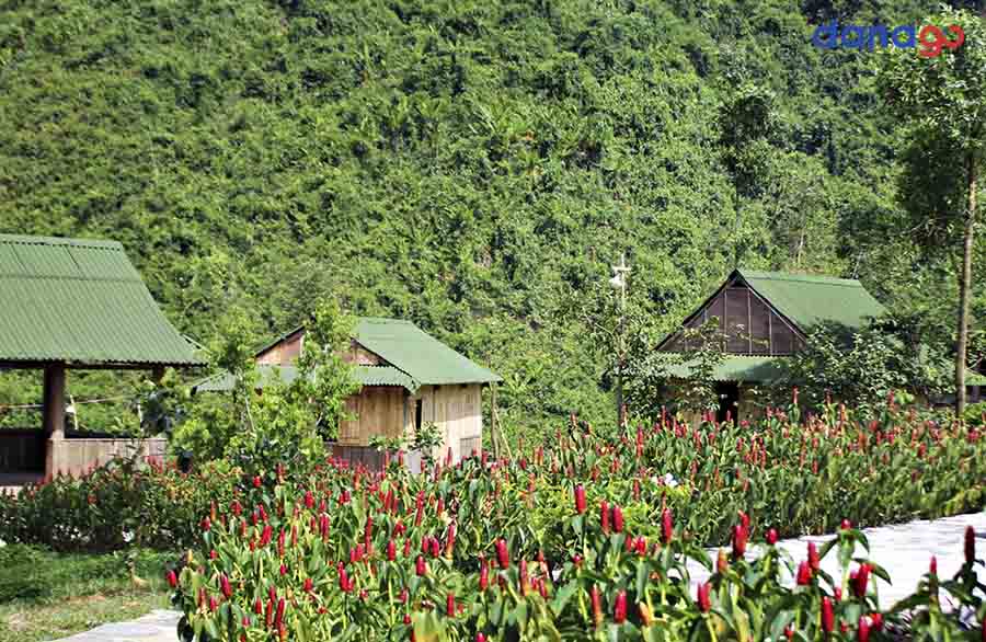 tour cần thơ đi đà nẵng 4 ngày tour cần thơ đi đà nẵng 4 ngày
