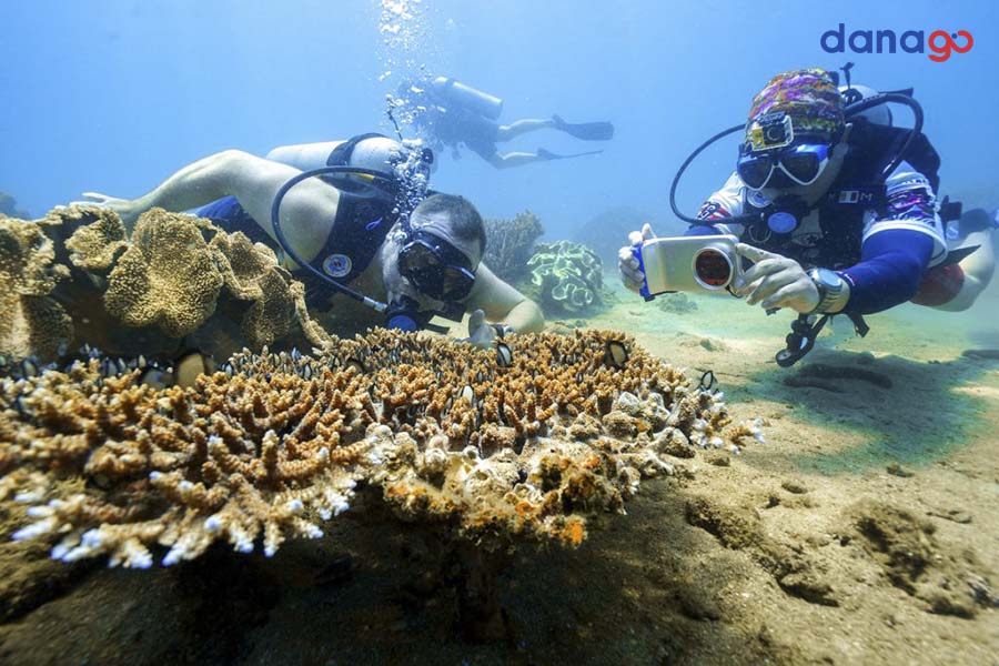 tour đồng nai đi đà nẵng 4 ngày tour đồng nai đi đà nẵng 4 ngày