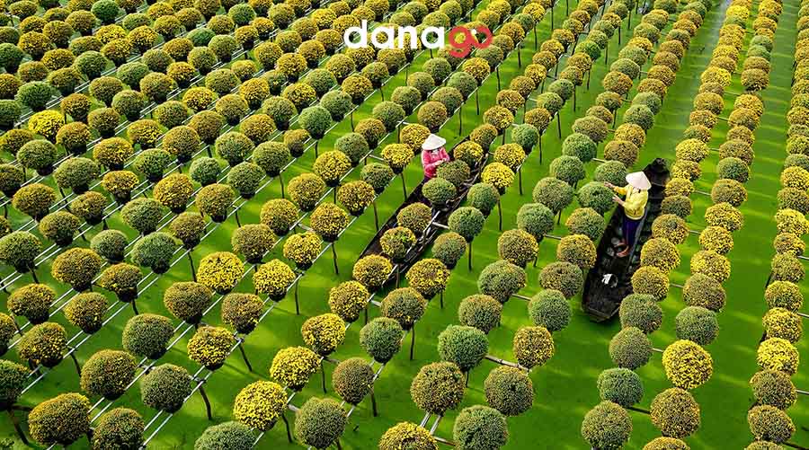 tour đà nẵng đi miền tây tour đà nẵng đi miền tây