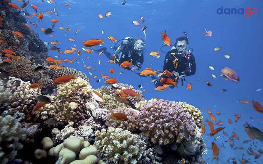 tour quảng ninh đi đà nẵng 4 ngày tour quảng ninh đi đà nẵng 4 ngày
