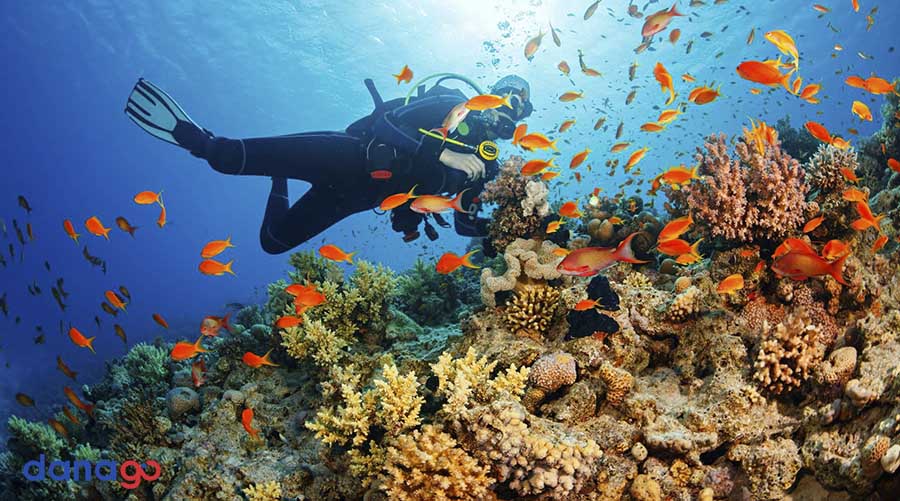 tour tiền giang đi đà nẵng 4 ngày tour tiền giang đi đà nẵng 4 ngày
